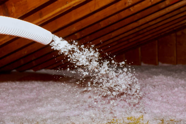 Types of Insulation We Offer in Pine Hills, CA