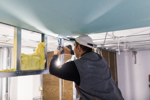 Best Spray Foam Insulation in Pine Hills, CA