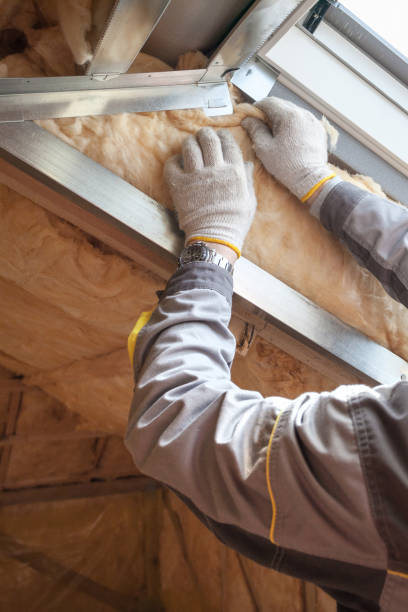 Best Geographic-Specific Insulation Services in Pine Hills, CA